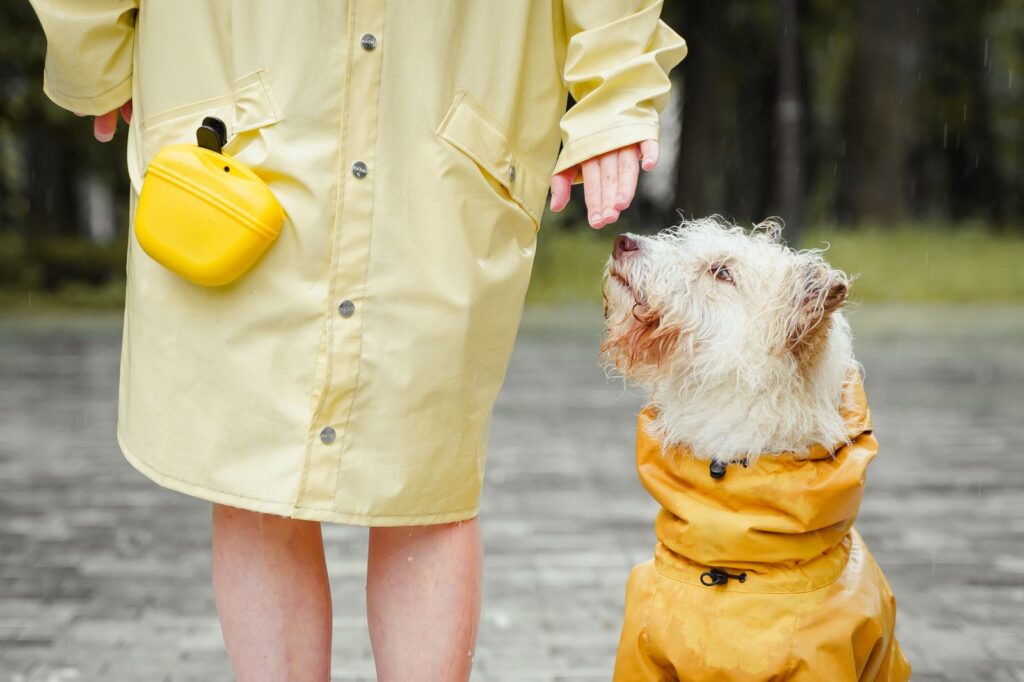 rainjacket apparel